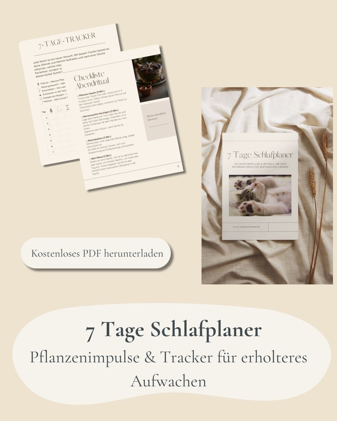 Mockup: 7 Tage Schlaf-Tracker + Checkliste